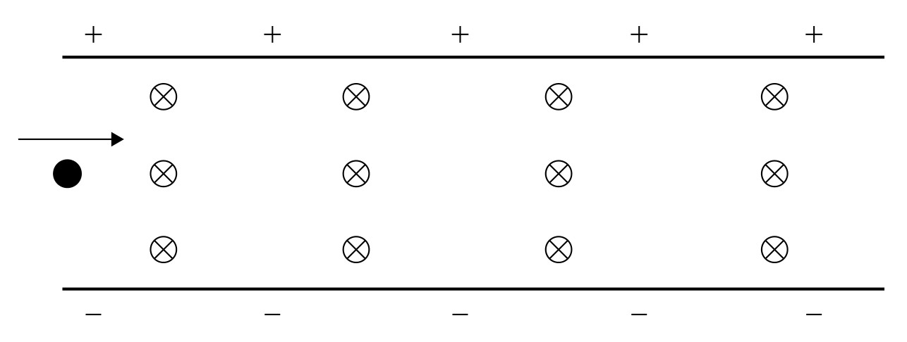 Figure for Question 1 — IB Physics SL