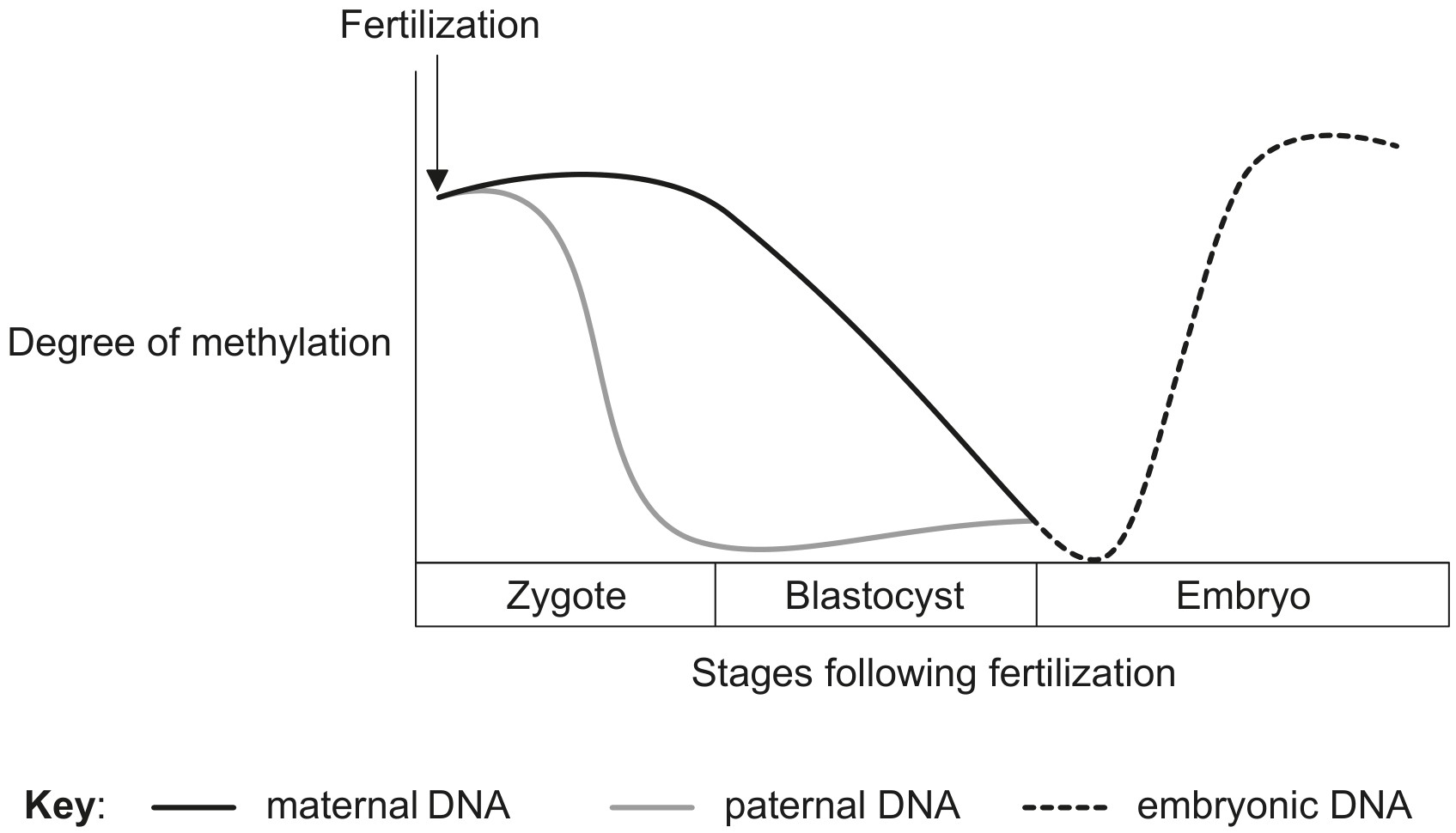 Figure for Question 1 — IB Biology HL