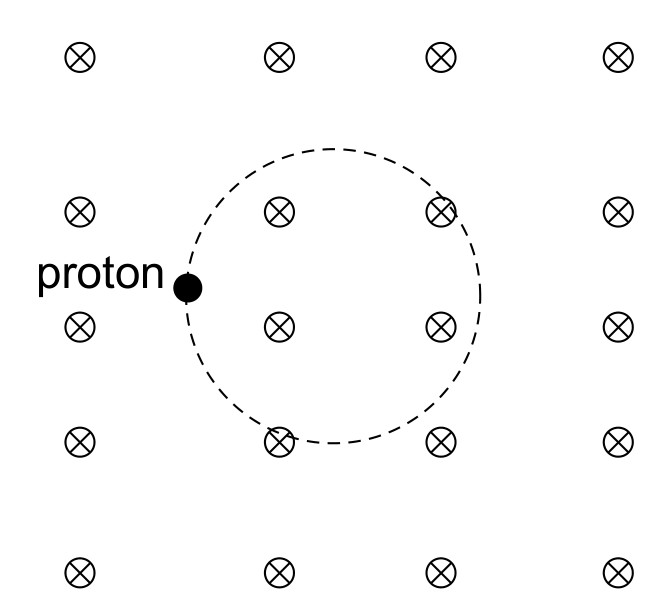Figure for Question (a) — IB Physics SL