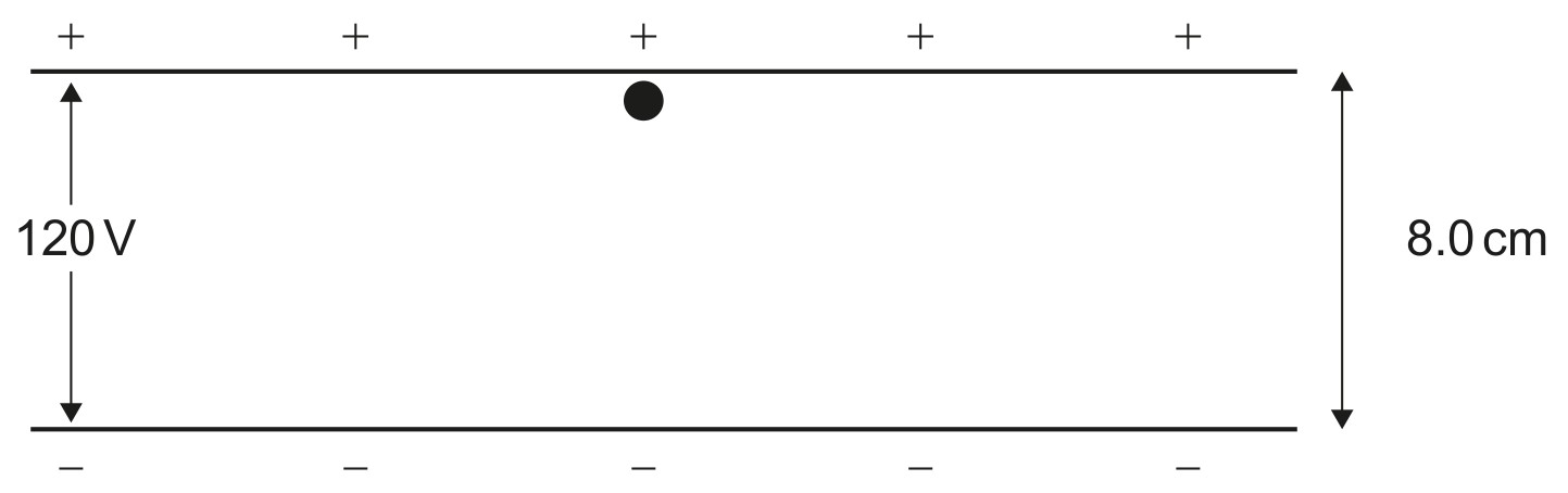 Figure for Question 1 — IB Physics HL