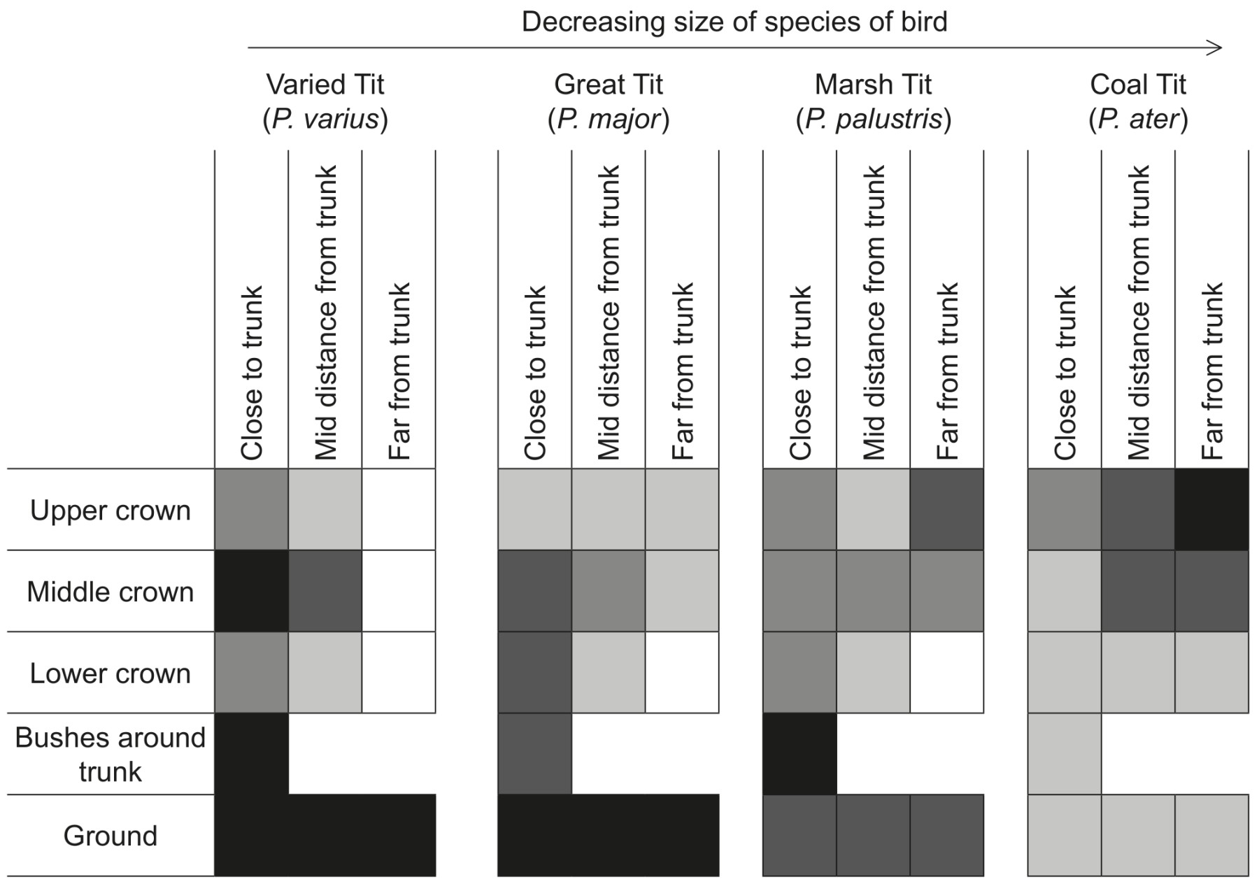 Table for Question 1 — IB Biology HL