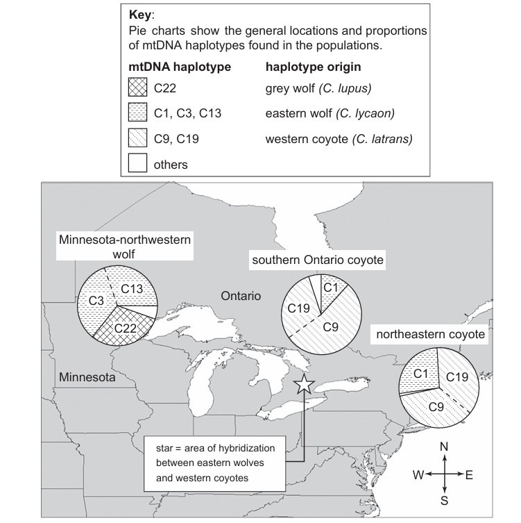 Figure for Question 1 — IB Biology HL