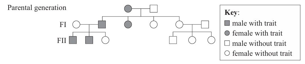 Figure for Question 1 — IB Biology HL
