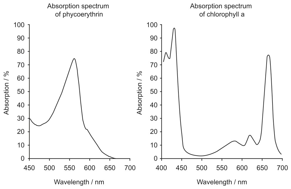 Figure for Question 1 — IB Biology SL