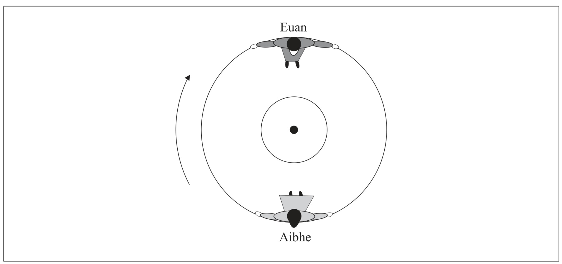 Figure for Question 1 — IB Physics SL
