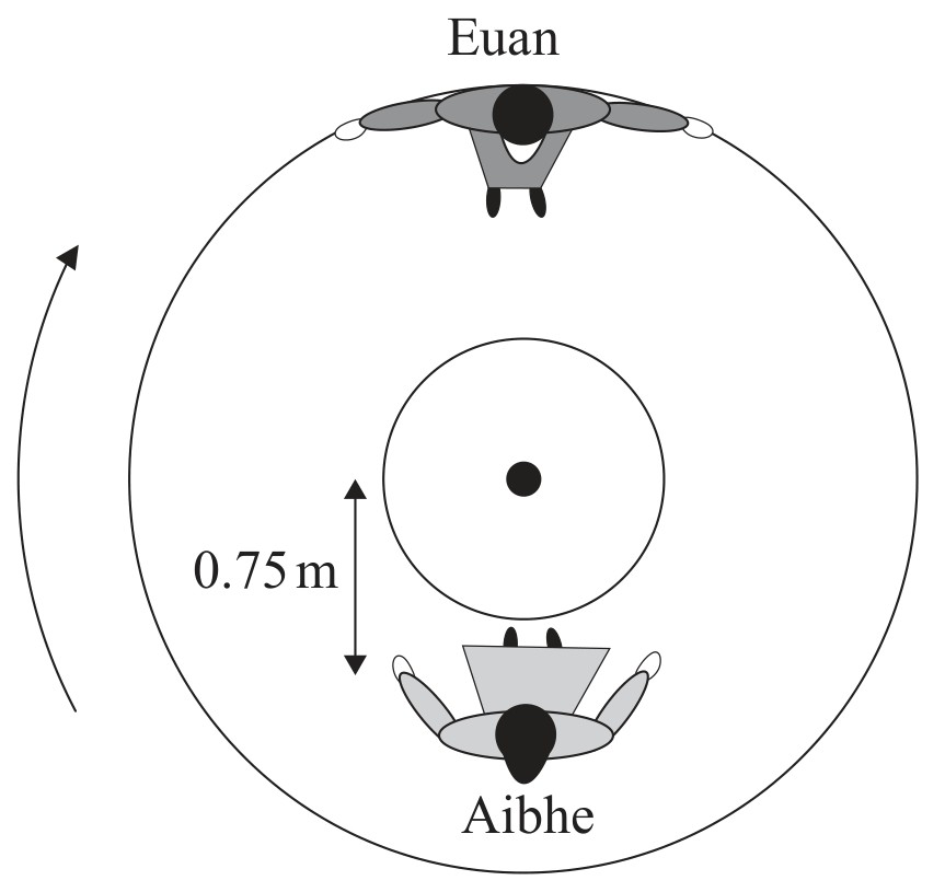 Figure for Question 1 — IB Physics SL