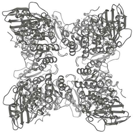 Figure for Question 1 — IB Biology SL