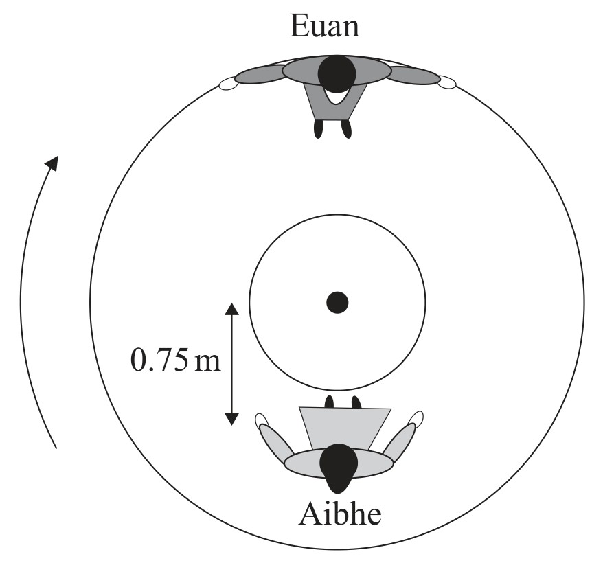 Figure for Question 1 — IB Physics HL