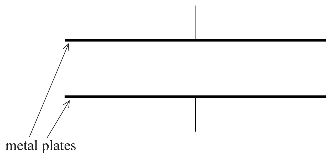Figure for Question 1 — IB Physics SL