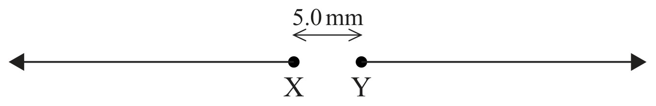 Figure for Question 1 — IB Physics SL