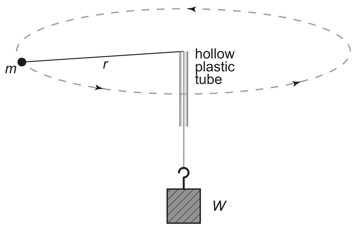Figure for Question 1 — IB Physics SL