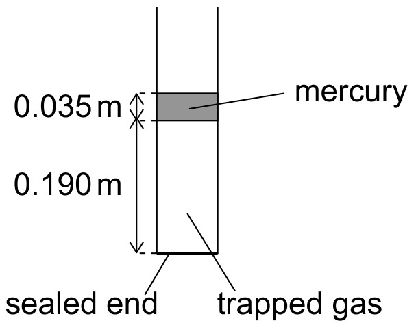 Figure for Question 1 — IB Physics SL