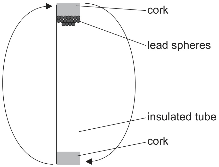 Figure for Question 1 — IB Physics SL
