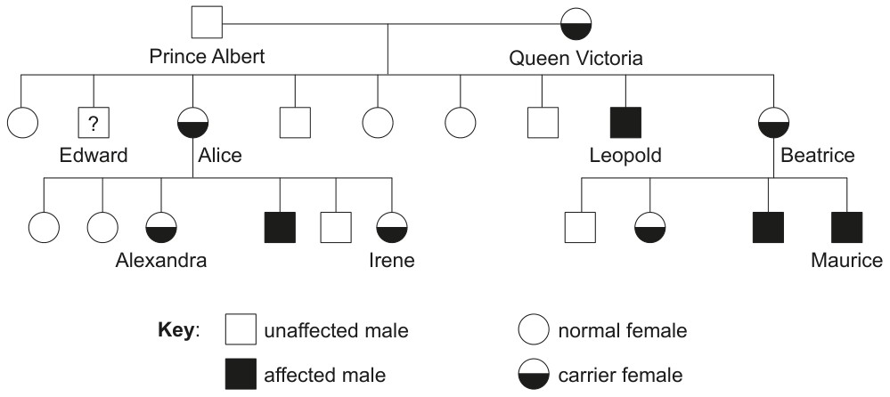 Figure for Question 1 — IB Biology SL
