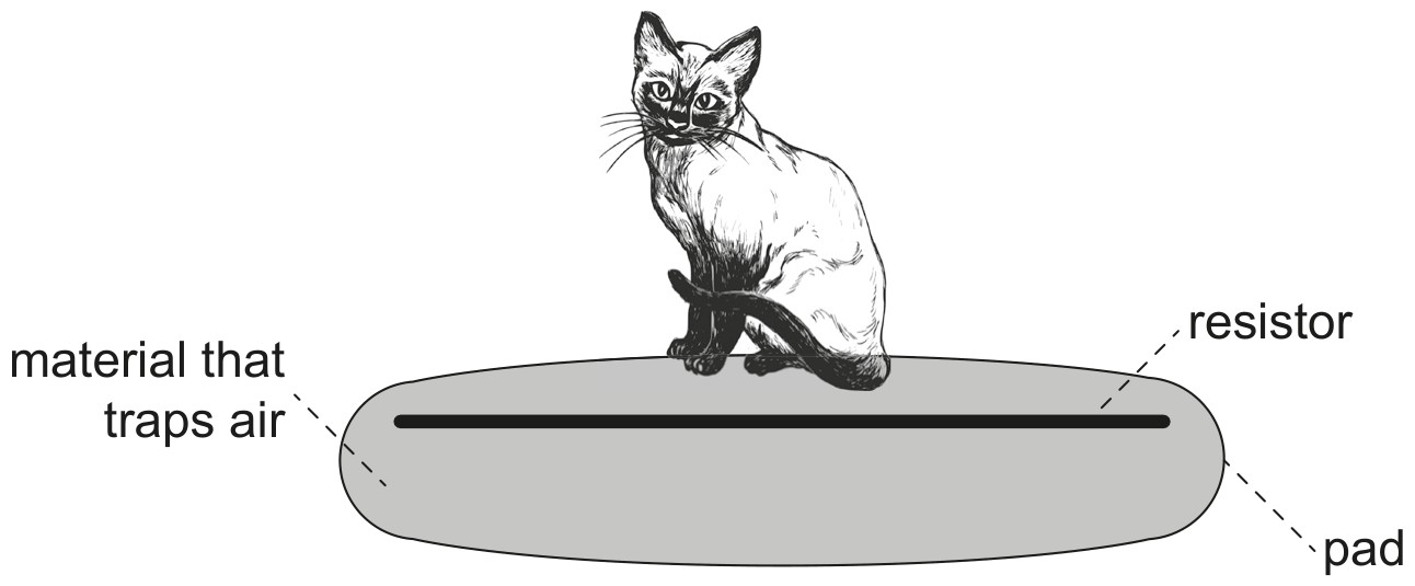 Figure for Question 1 — IB Physics SL