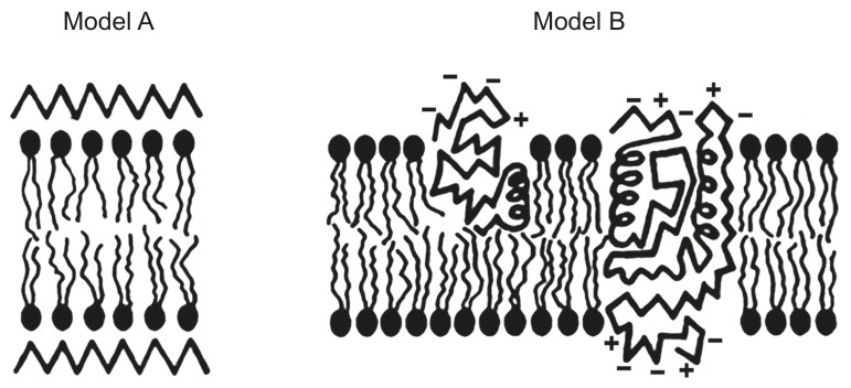 Figure for Question 1 — IB Biology SL