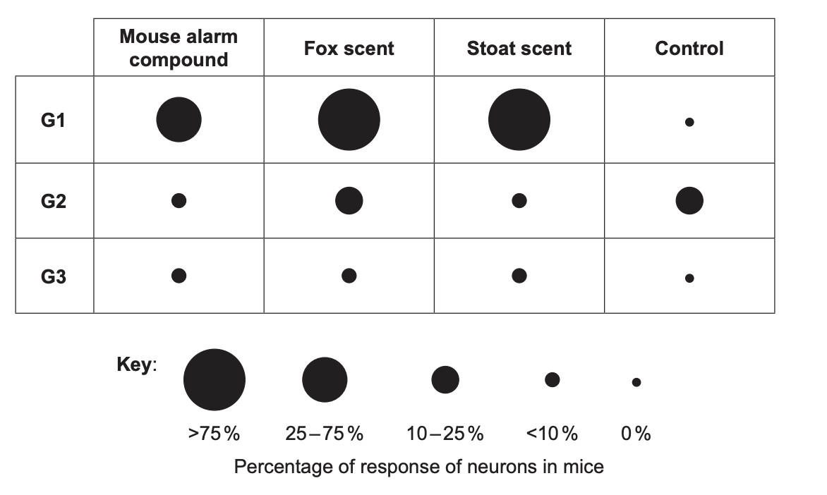Figure for Question 1 — IB Biology SL