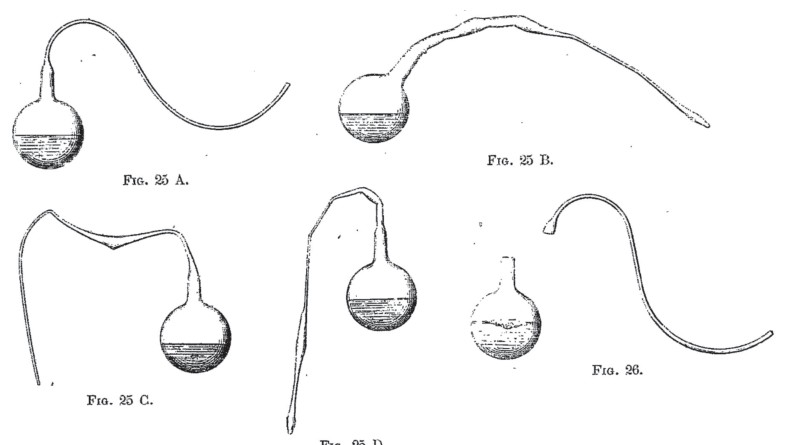 Fig. 25 D.