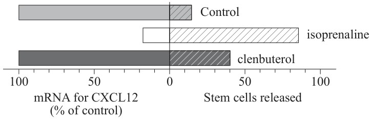 Figure for Question 1 — IB Biology SL