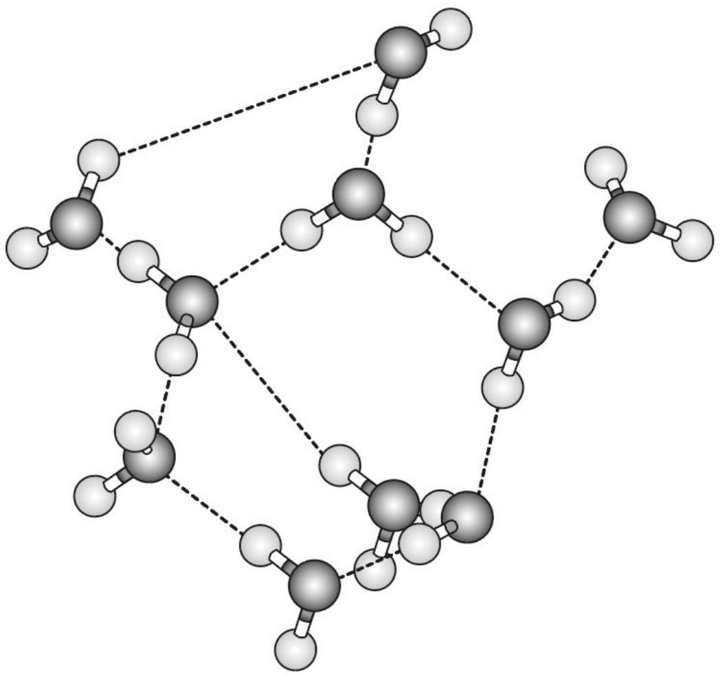 Figure for Question 1 — IB Biology HL