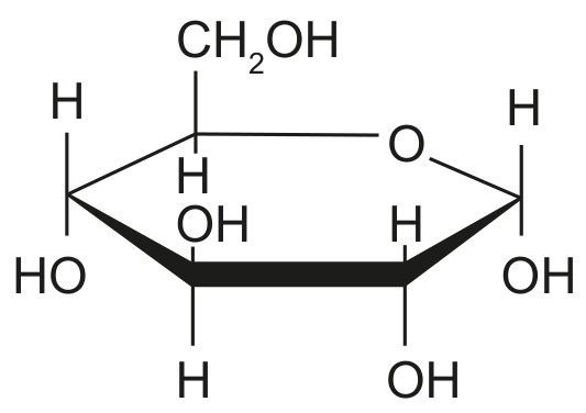 Figure for Question 1 — IB Biology HL — Option C
