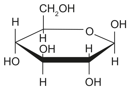 Figure for Question 1 — IB Biology HL — Option A