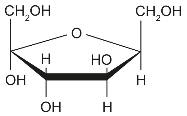 Figure for Question 1 — IB Biology HL — Option B