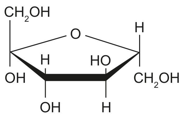 Figure for Question 1 — IB Biology HL — Option D
