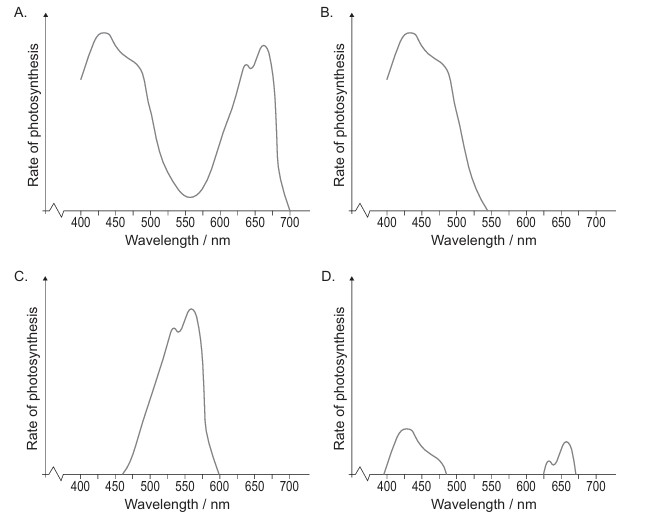 Figure for Question 1 — IB Biology HL