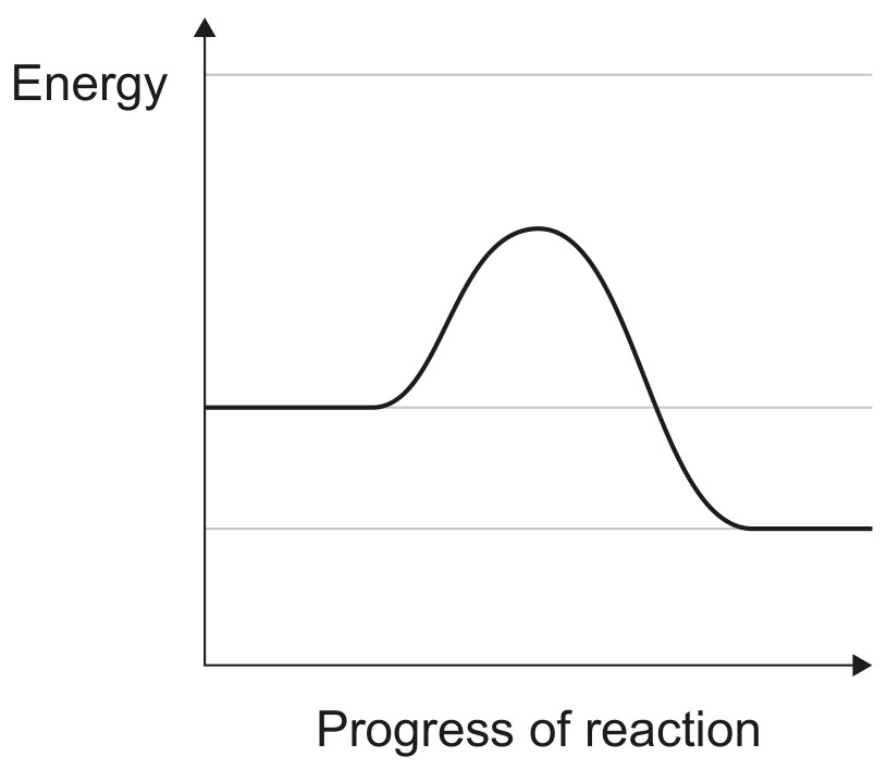 Figure for Question 1 — IB Biology HL — Option B