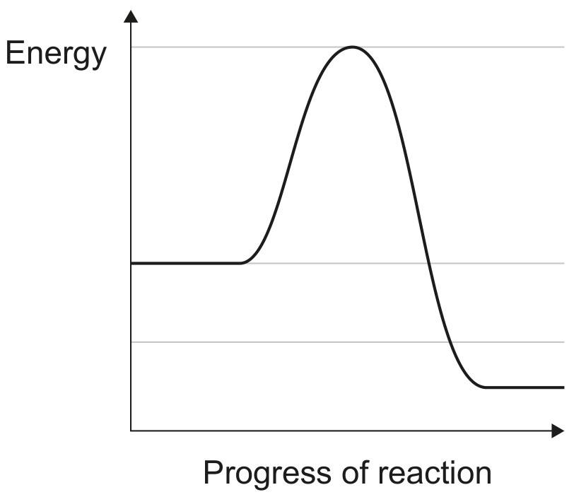 Figure for Question 1 — IB Biology HL — Option D