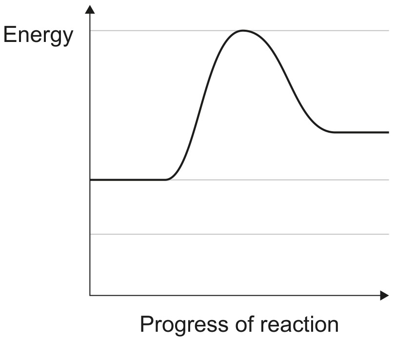 Figure for Question 1 — IB Biology HL — Option A