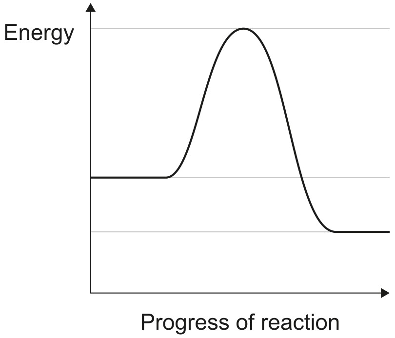 Figure for Question 1 — IB Biology HL