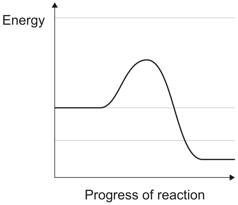 Figure for Question 1 — IB Biology HL — Option C