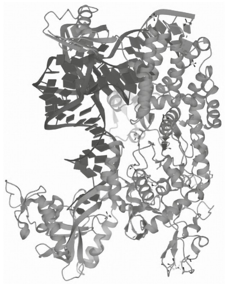 Figure for Question 1 — IB Biology HL