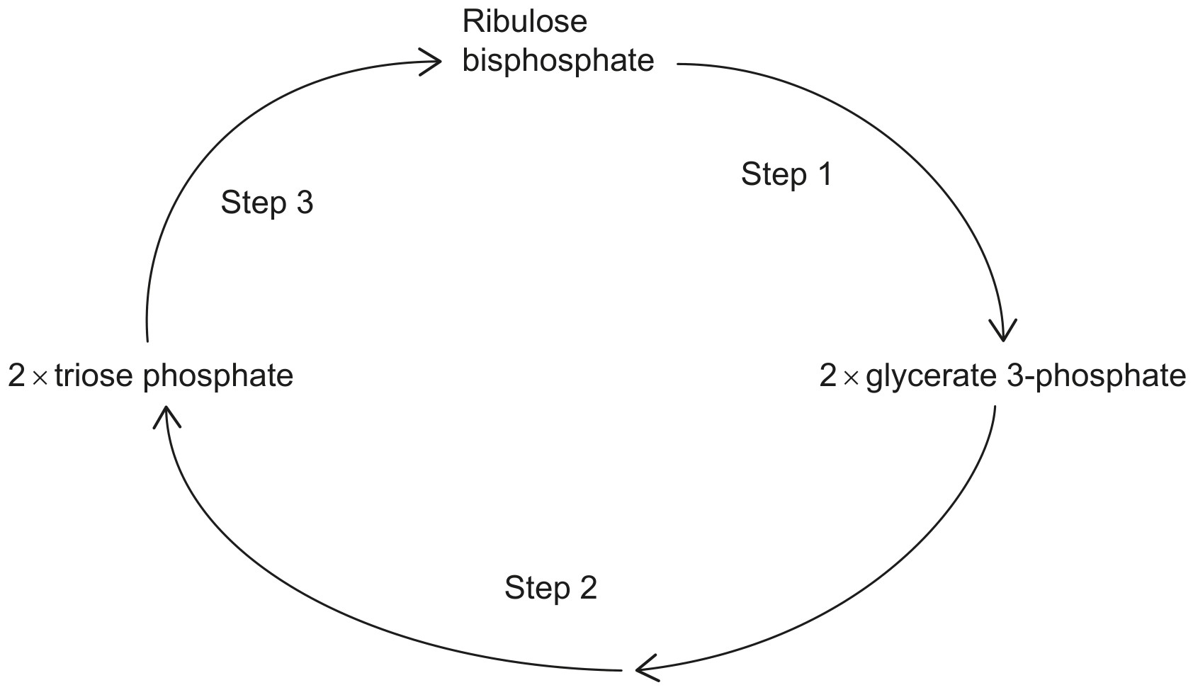 Figure for Question 1 — IB Biology HL
