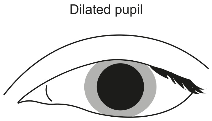 Figure for Question 1 — IB Biology HL