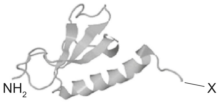 Figure for Question 1 — IB Biology HL