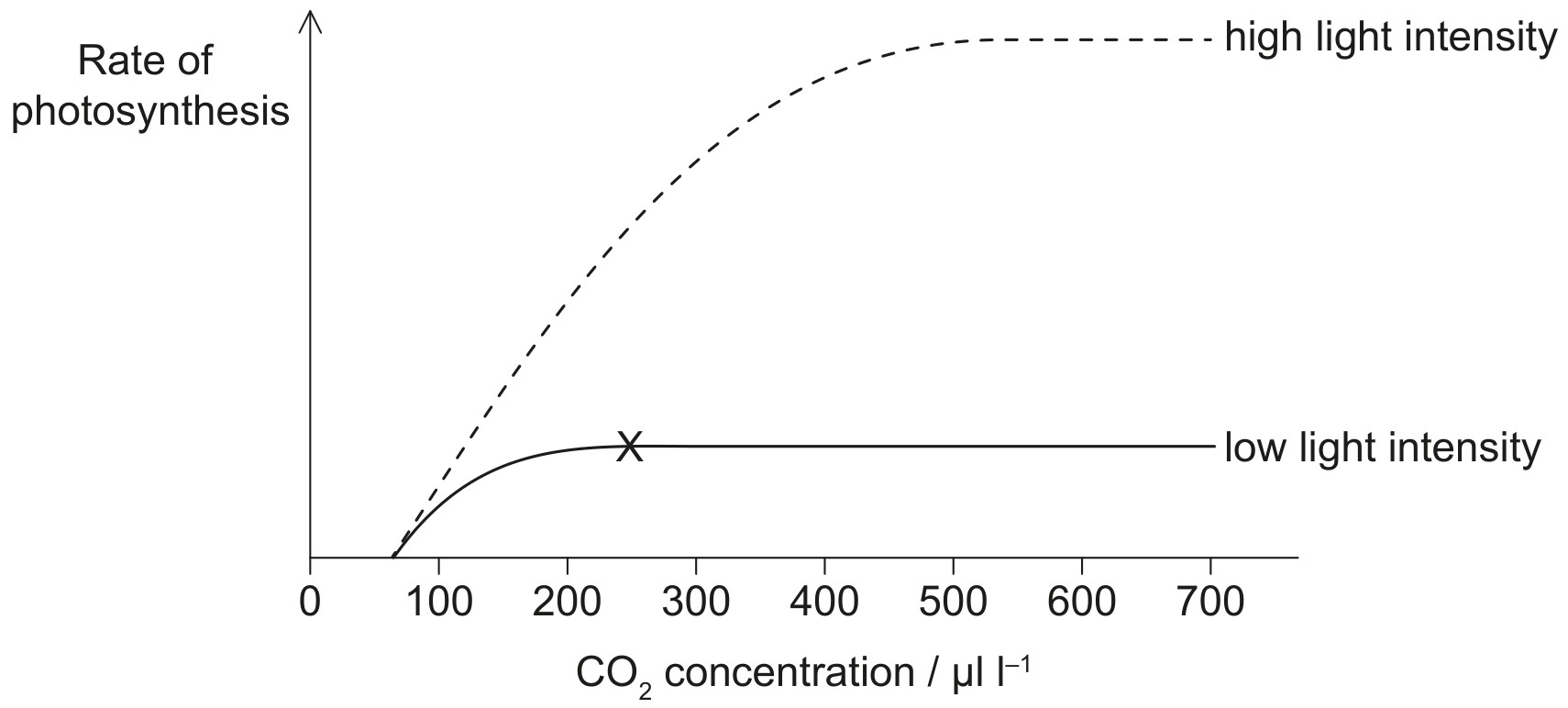 Figure for Question 1 — IB Biology HL