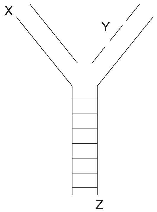 Figure for Question 1 — IB Biology HL