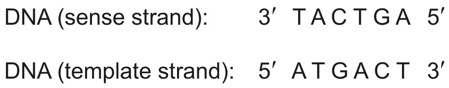 Table for Question 1 — IB Biology HL