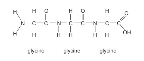 Figure for Question 1 — IB Biology HL